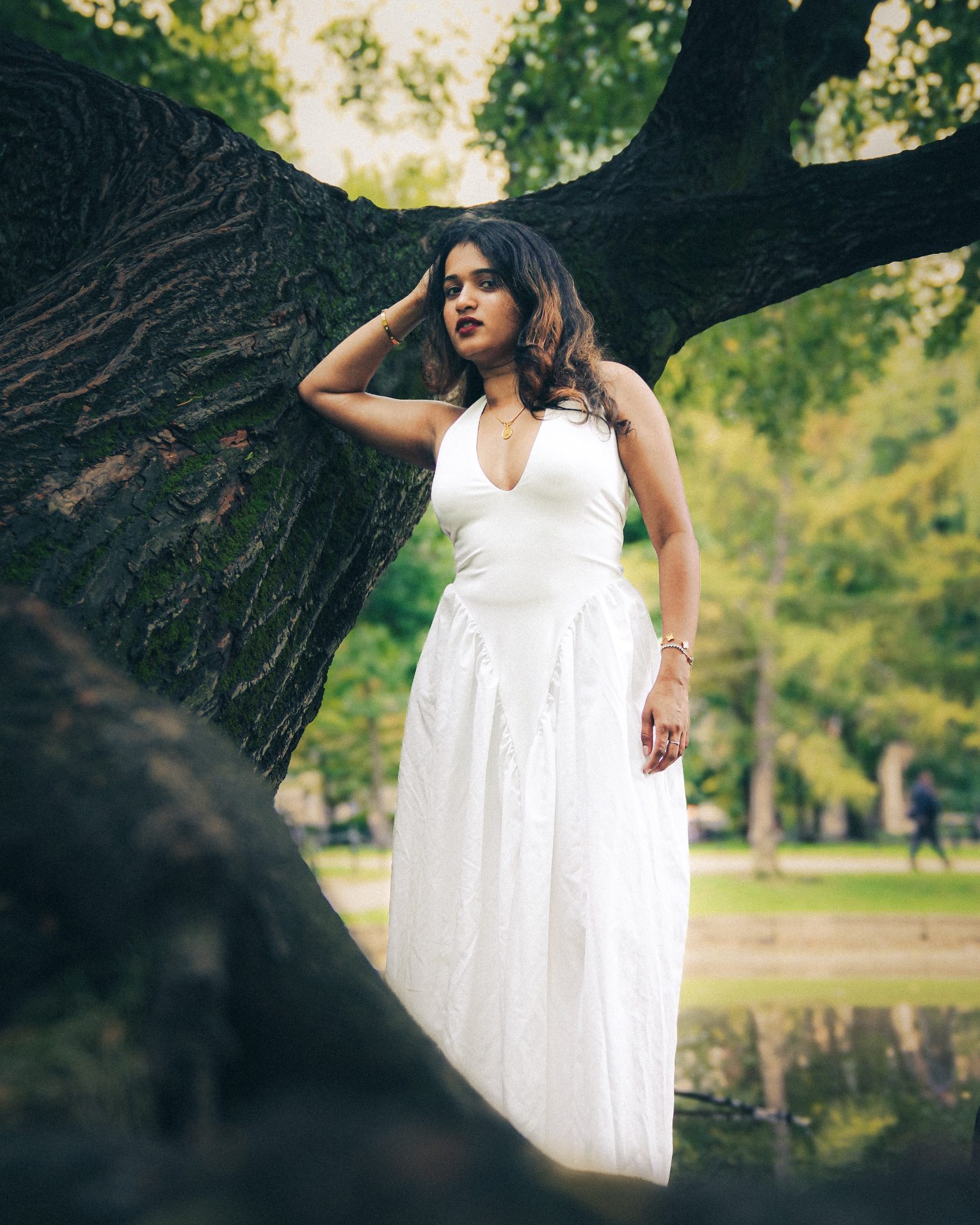White gown by the tree, Public Garden